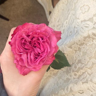 Логотип @dosho_ganz - ganz