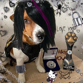 Логотип @doslliz - до сліз