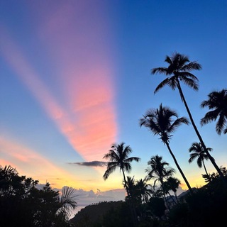 Логотип @dospalmeras_rd - Доминиканские записки 🇩🇴