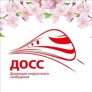 Логотип @dossinfo1 - ДОСС.Инфо