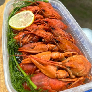 Логотип @dostavka_rakov - Доставка Цветов Москва