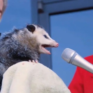 Логотип @dostavkaora - Ор с доставкой