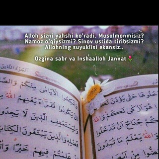 Логотип @dostlaaarr - 💙