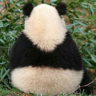 Логотип @dotdgif - Гифки от дройди