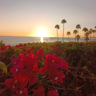 Логотип @doucepuissance22 - Douce Puissance