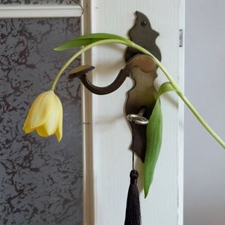 Логотип @doufeelhome - Чувствуешь дом?