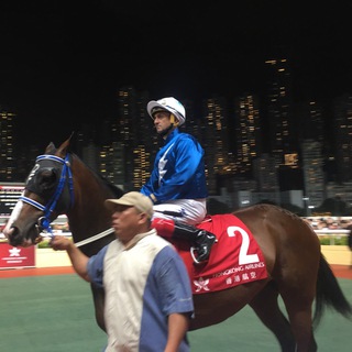 Логотип @douglaswhyte - 永續不打鞭贏馬騎師韋達！