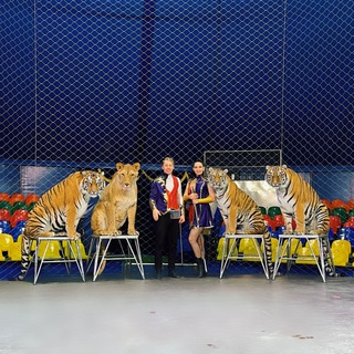 Логотип @dovgalyuk_animals - Виталий и Виктория Довгалюк