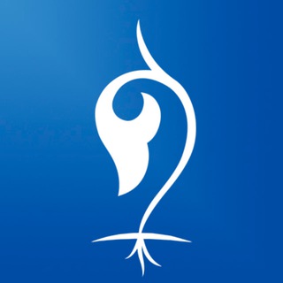 Логотип @dovodi - ДОВОДЫ