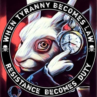 Логотип @downtherabbitholewegofolks - Down the rabbit hole we go... 🐰🍿