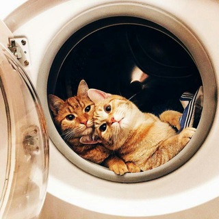 Логотип @dozorhelp - Дозорная помощь