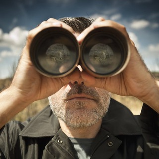 Логотип @dozornyinadsharom - ДоZорный