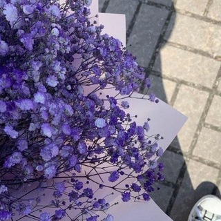 Логотип @dpeshka_567 - Ты сохранишь!