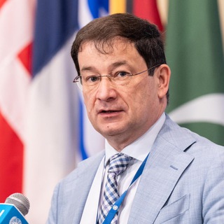 Логотип @dpolrus_un - Дмитрий Полянский 🇷🇺