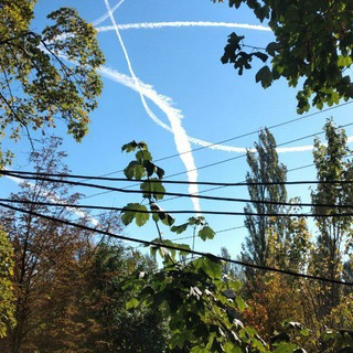 Логотип @dprlaf - Жизнь в ДНР