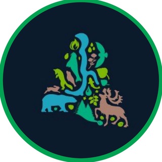Логотип @dprryanao - Департамент природных ресурсов ЯНАО