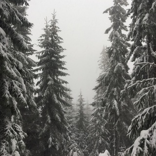 Логотип @dpsnkph - dpsnk