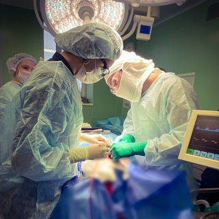 Логотип @dr_atasov - Dr.Atasov