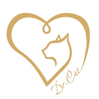 Логотип @dr_cat2022 - Dr_cat