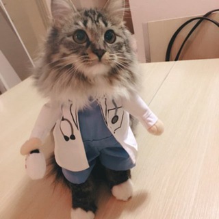 Логотип @dr_grey_chat - Серый Чат
