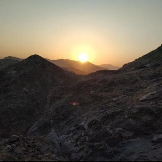 Логотип @dr_rashids - Dr. Rashid