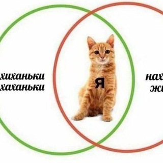 Логотип @drab_cat - Серый кот