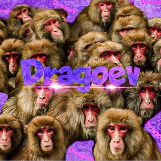 Логотип @dragoev_chat - | Чатик Dragoev