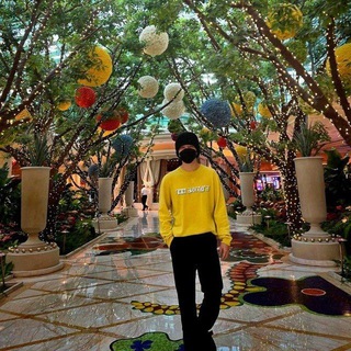 Логотип @dragonshl - dww sticker's