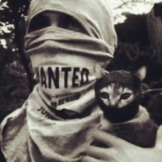 Логотип @drakeso2 - Drake so2🐒