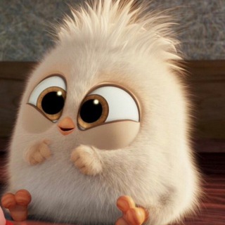 Логотип @dramapubgm - Сплетни Драмы✨