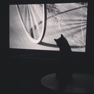 Логотип @dramaticdoc - Драматическая Перипетия