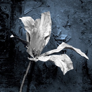 Логотип @dramavrn - Воронежский театр драмы им. А. Кольцова