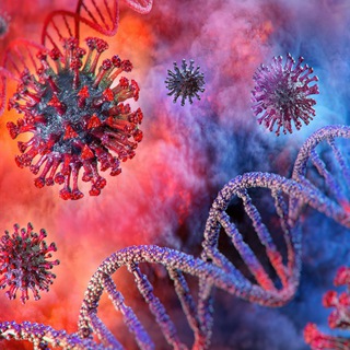 Логотип @dranthonyfortruth - Right Docs of History- via @docanthony