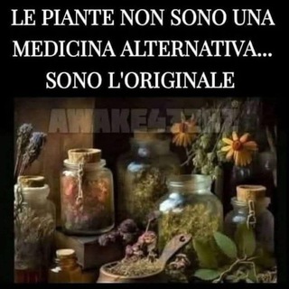 Логотип @drbianchininutrizionista - Dr Paolo Bianchini Biologo Nutrizionista Esperto di Terapie Naturali www.bianchinidottpaolo.com