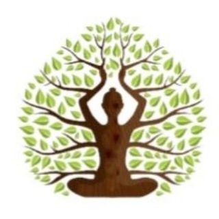 Логотип @drbiohealing - Dr. BioHealing