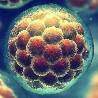 Логотип @drcarlosluisalvarezb - @DRCLAB