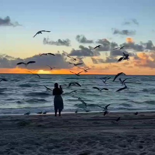 Логотип @dream_enik - На Берегу Мечты..