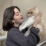 Логотип @dreammuzzchat - ᴏбщᴇниᴇ ᴅʀᴇᴀᴍ_ᴍᴜᴢᴢ_🤎