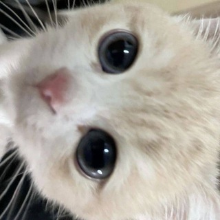 Логотип @dreamt47 - who is dreamt