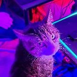 Логотип @dreamymemes - Dreamy Memes