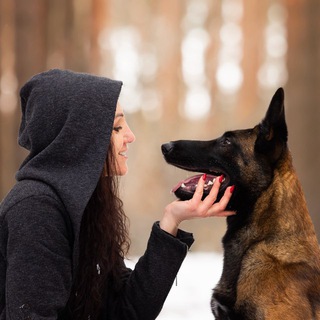 Логотип @dressirovka46 - Юлия Абляхова | блог о дрессировке собак