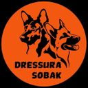Dressura.sobak