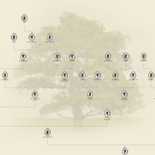 Логотип @drevoroda - Древо рода