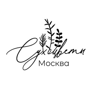 Логотип @driedflowers_moscow - Сухоцветы Москва | Стабилизированные цветы