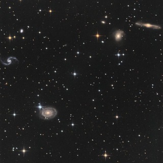 Логотип @drionaaa - persephone’s purgatory