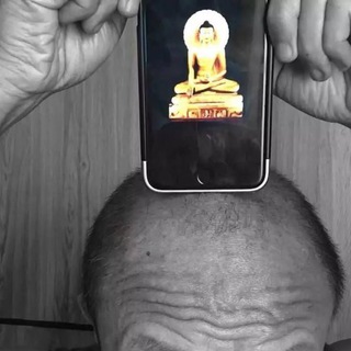 Логотип @dristalkastilya - дристалка стиля 2319