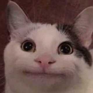 Логотип @dro4ka007 - Beluga