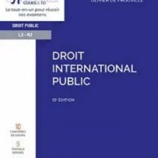 Логотип @droitinternational - Droit international