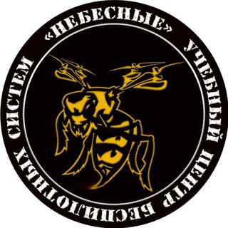 Логотип @dronchanel - НЕБЕСНЫЕ