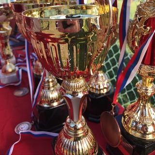 Логотип @droneracingevents - DRS информация про гонки FPV Russia Drone Racing event